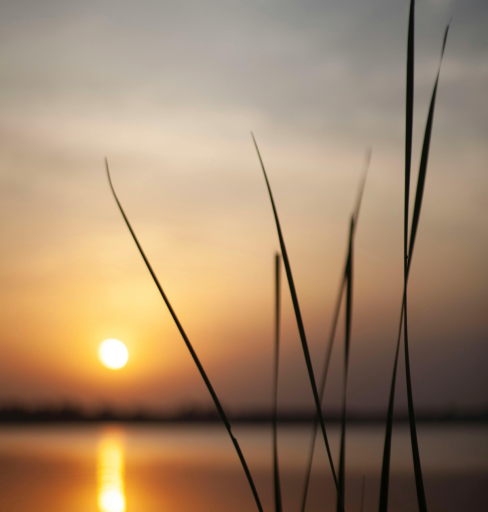 Simpson Protokoll ® Hypnose. 1 67 • Hypnosepoint • Wolfgang Suppan • Hypnose Laxenburg